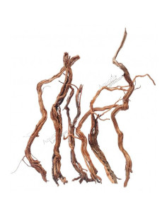 Rama Twist Root wood - ML