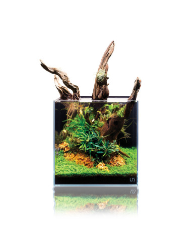 UNS - Aquarium 16C (16*16*16cm/5mm)