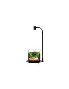 Bioloark - Wabi Kusa Lampe DX-03 2
