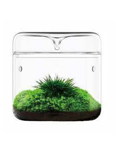 Bioloark - Luji Glass Cup MY-120