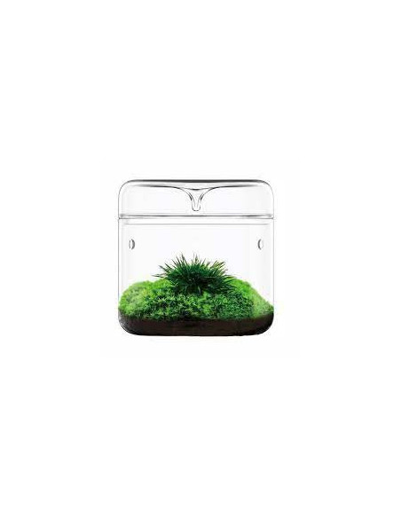 Bioloark - Luji Glass Cup MY-120