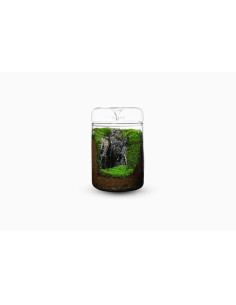 Bioloark - Luji Glass Cup MY-150H 2