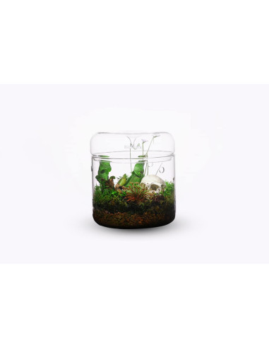 Bioloark - Luji Glass Cup MY-150