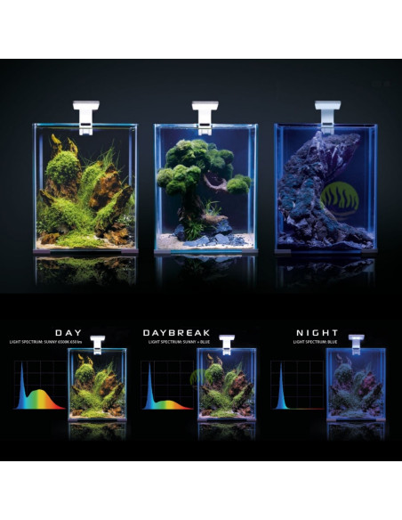 Aquael - Shrimp Set Smart Day & NIght - 30L NOIR