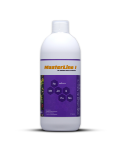 MasterLine - I 1L