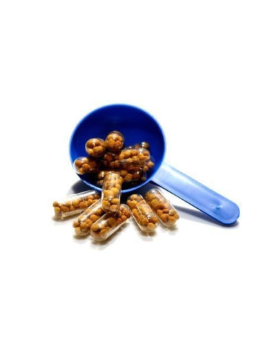 PlantedBox - Crypto 25 Capsules