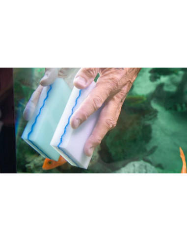 Jöst - Blue Wave Sponge x3