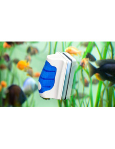 Jöst - algae magnet L (Aimant de nettoyage) 2