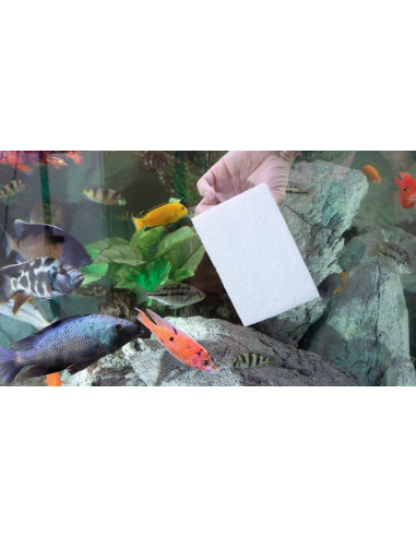 Jöst - Ocean Pad pour Catfish Holder