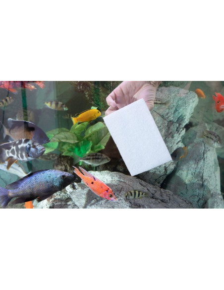 Jöst - Ocean Pad pour Catfish Holder