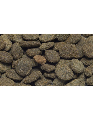 Jöst - FoodPorn Pastille Pour Poissons De fond...