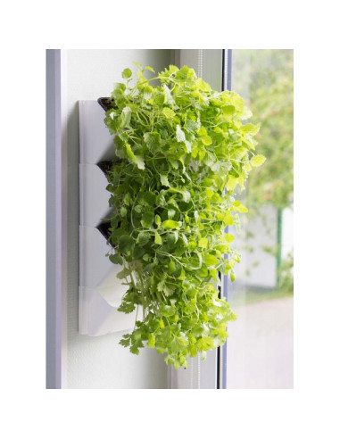 Aquael- Wall Module VERSA GARDEN HERBS white