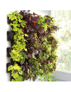 Aquael - Wall Module Versa Garden - 12 pots 2