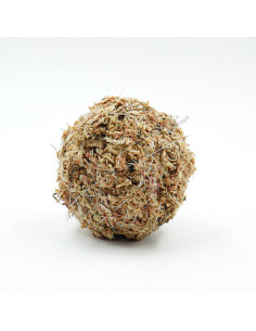 OPAquatics - Wabikusa Dirt Ball 6cm