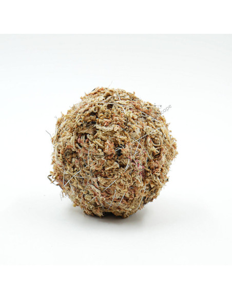 OPAquatics - Wabikusa Dirt Ball 8cm