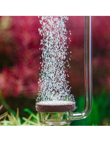 Aquario - Neo Diffuseur Special type M