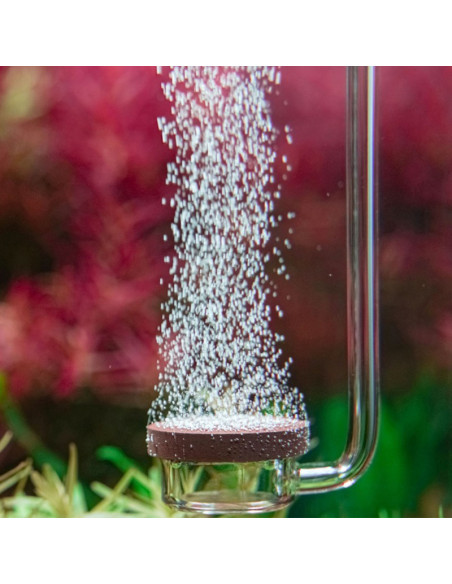 Aquario - Neo Diffuseur Special type M