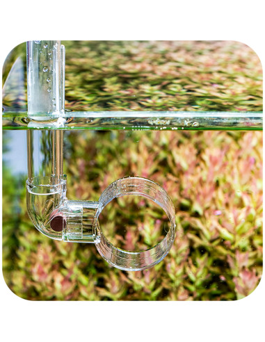 Aquario - Neo Mixer L