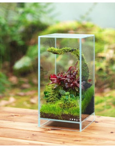 DOOA - Neo Glas AIR W15xD15xH30cm 2