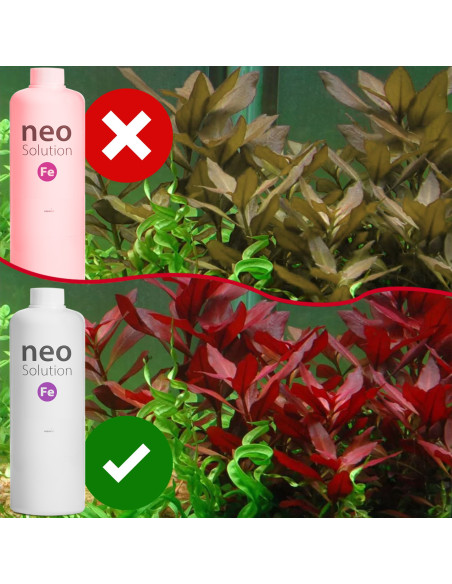 Aquario - Neo Solution FE -  - 300ml