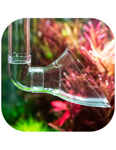 Aquario - Neo Outlet L - 17mm