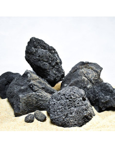 Black Lava - Taille S - 5 à 10cm