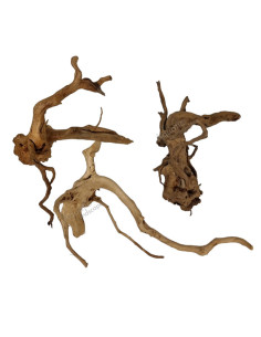Racine - Red Moor wood 20-35cm