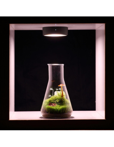 ONF - Mist O Magnetic Plant Light