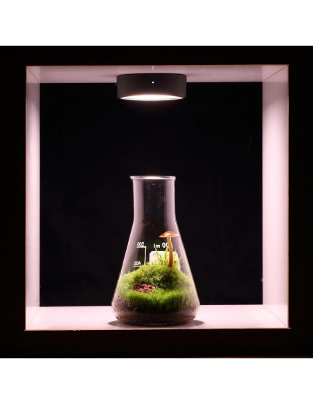 ONF - Mist O Magnetic Plant Light
