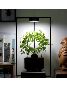 ONF - Mist O Magnetic Plant Light 2