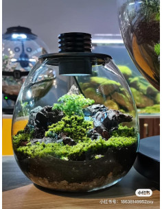 Bioloark  - Bio Bottle PD210 2