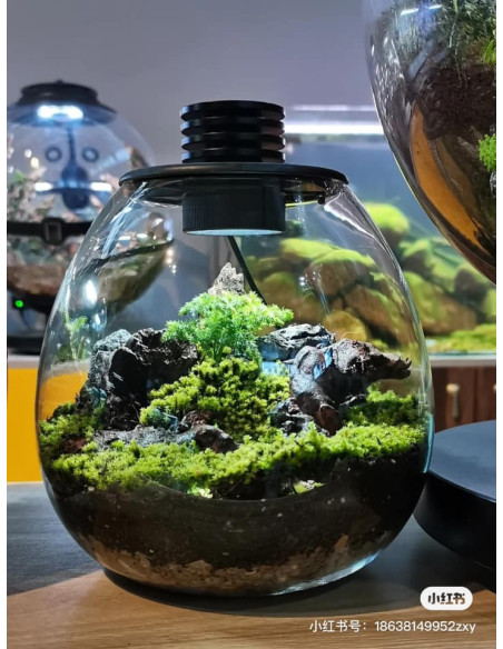 Bioloark  - Bio Bottle PD210