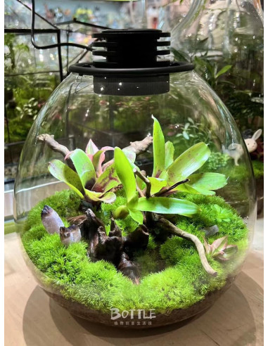 Bioloark  - Bio Bottle PD210