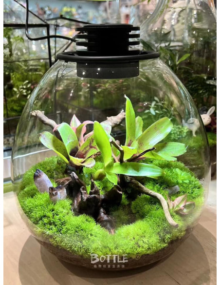 Bioloark  - Bio Bottle PD210