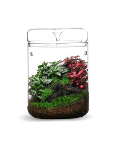 Bioloark - Luji Glass Cup MY-180H 2