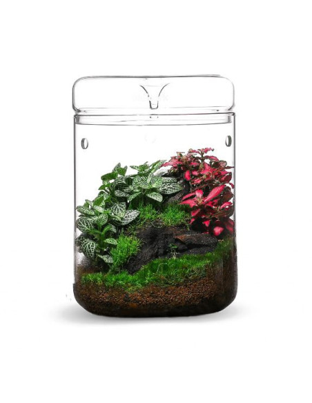 Bioloark - Luji Glass Cup MY-180H