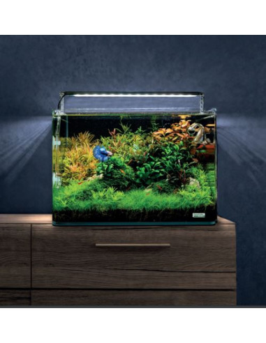 Dennerle - Nanocube White Glass 30L (cuve nue)