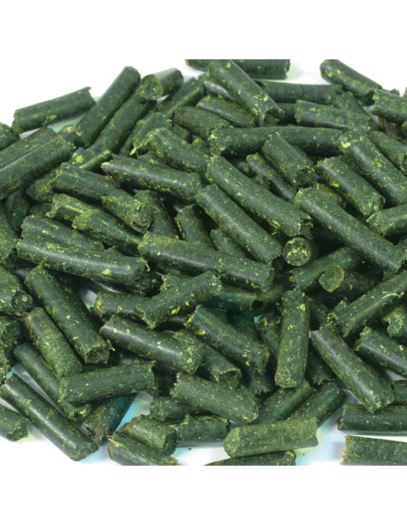 Dennerle - Crusta sticks d'orties