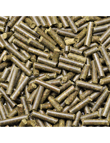 Dennerle - Shrimp King Protein