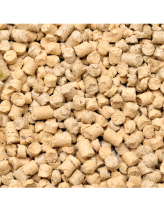 Dennerle - Shrimp King Snow Pops 2