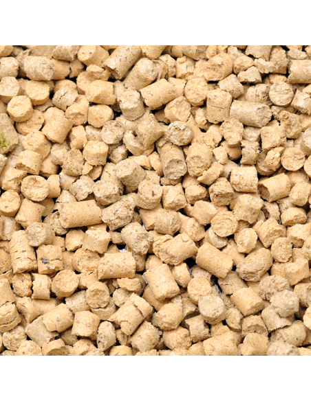 Dennerle - Shrimp King Snow Pops