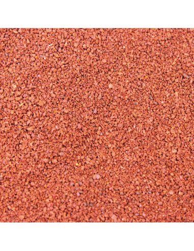 Dennerle - Guppy & Co Booster (100 ml)