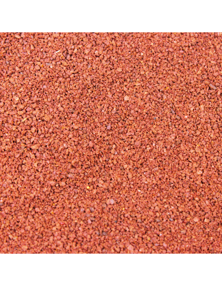 Dennerle - Guppy & Co Booster (100 ml)