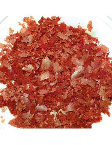 Dennerle -  Complete Gourmet Flakes 100 ml