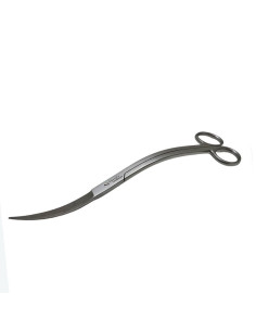 AQL - Scissor Wave