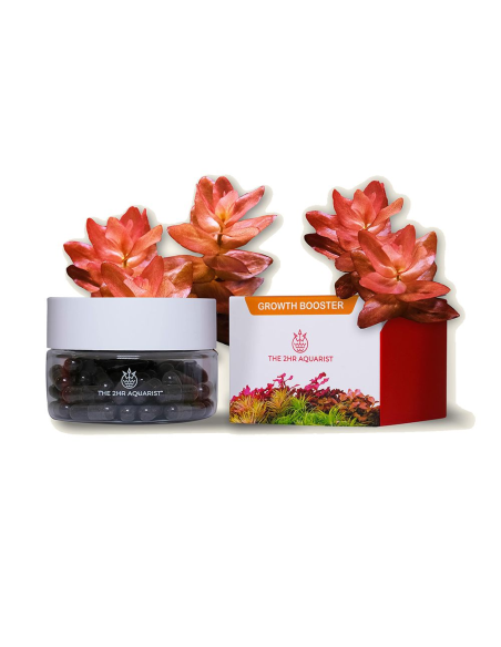 The 2Hr Aquarist - APT Jazz 54 caps