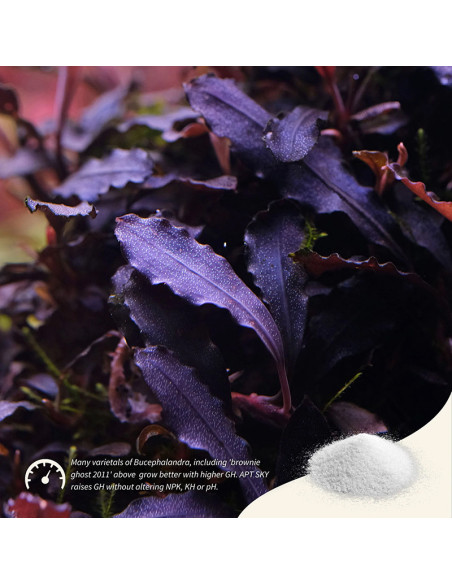 The 2Hr Aquarist - APT Sky - 150g