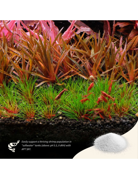 The 2Hr Aquarist - APT Sky - 150g