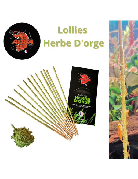 Aquashrimp - Shrimps Lollies Herbe d'orge(12pcs)