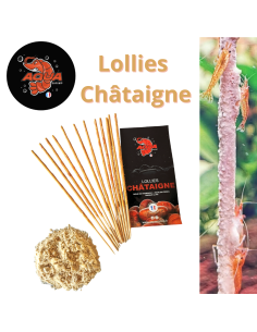 Aquashrimp - Shrimps Lollies Châtaigne(12pcs)